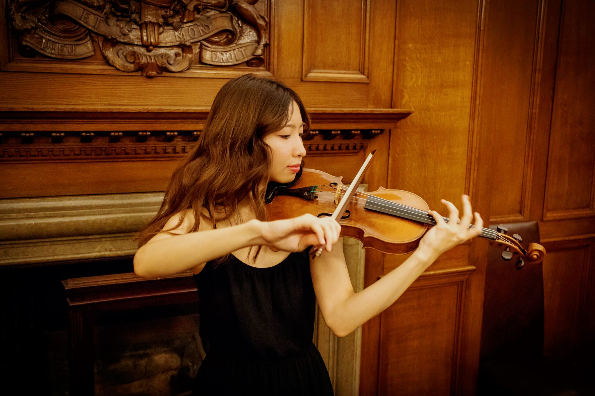 Violin